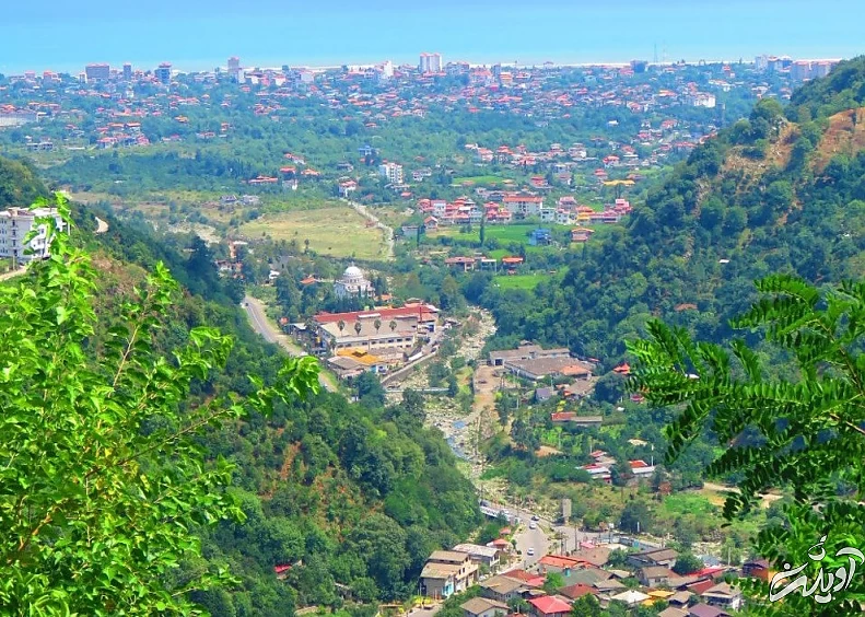 (تصاویر) آرامش جنگلهای زیبای سرولات و جنگسرا